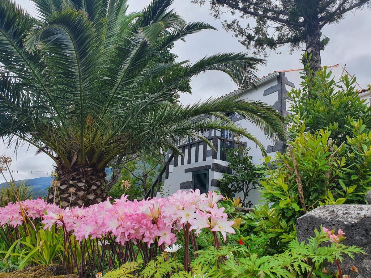 Casa Do Gato Preto Villa Santo Amaro  Ngoại thất bức ảnh